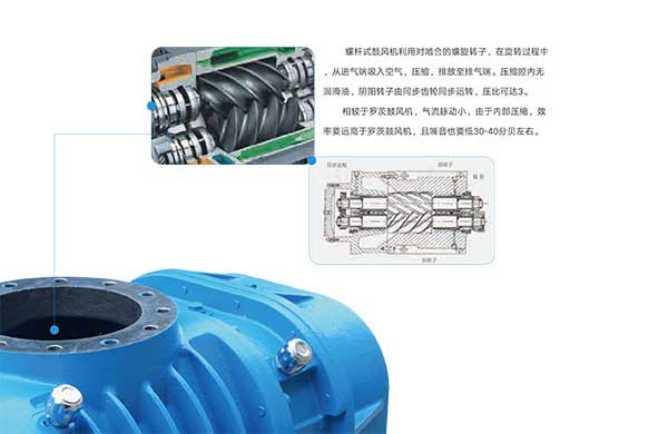 雅之雷悳-無油(you)螺桿皷風機-4