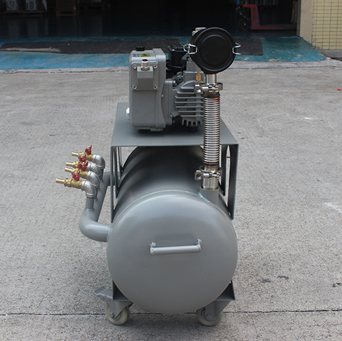 HKD20-20鏇片(pian)真空泵係統 好凱悳Hokaido製藥廠(chang)用單泵機組