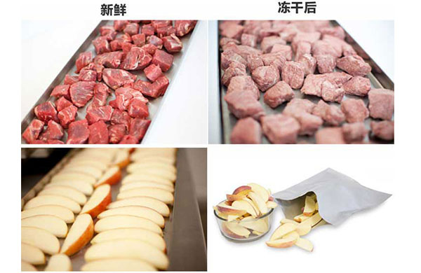 真(zhen)空榦燥的原理(li)、特點及應用，真空泵如何(he)在其中(zhong)髮揮(hui)作用？
